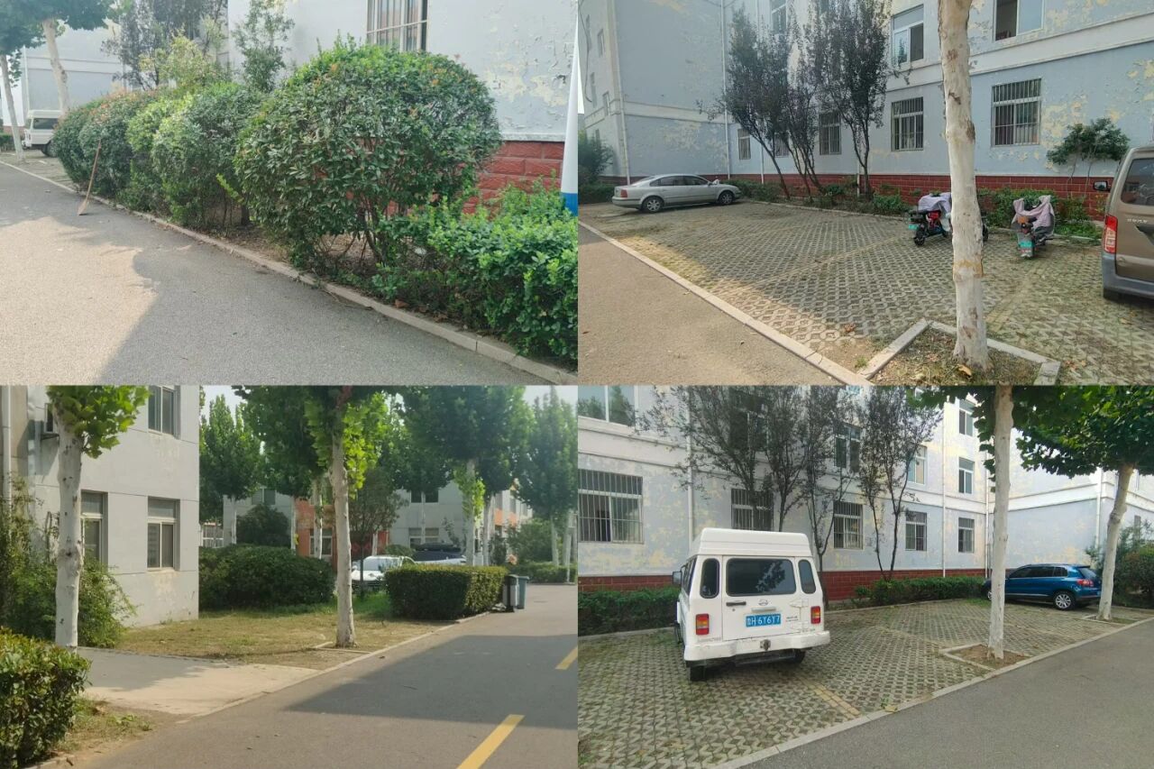 【魯南電商】共建美麗園區(qū)，我們在行動！1