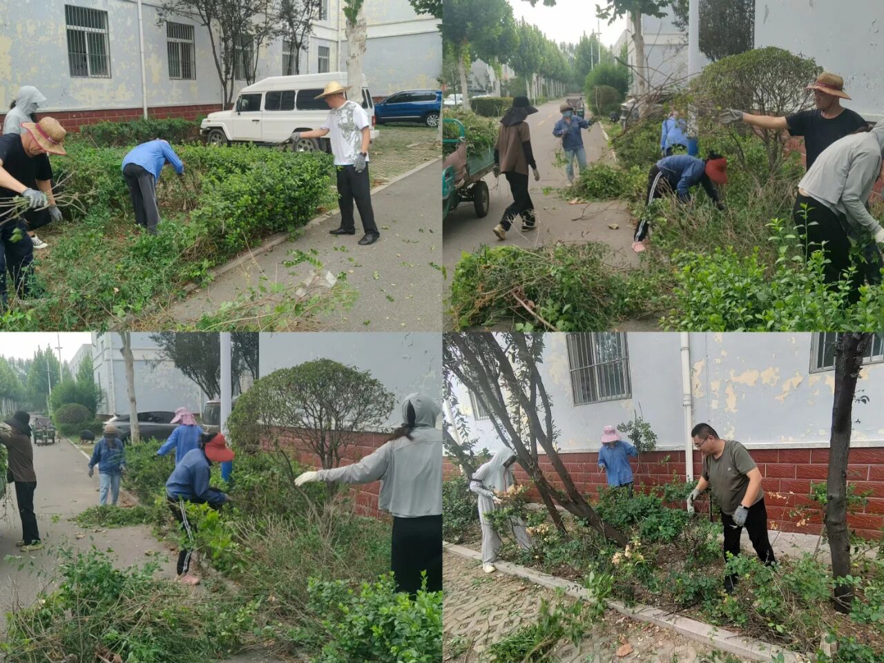 【魯南電商】共建美麗園區(qū)，我們在行動！