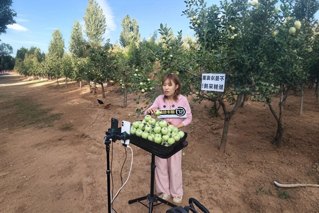 決戰(zhàn)四季度，圣家樂購雙十一全域發(fā)力促增長2